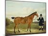 A Gentleman Holding His Hunter in a Landscape-E.W. Gill-Mounted Giclee Print