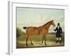 A Gentleman Holding His Hunter in a Landscape-E.W. Gill-Framed Giclee Print