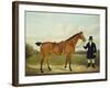 A Gentleman Holding His Hunter in a Landscape-E.W. Gill-Framed Giclee Print