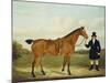 A Gentleman Holding His Hunter in a Landscape-E.W. Gill-Mounted Giclee Print