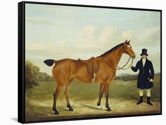 A Gentleman Holding His Hunter in a Landscape-E.W. Gill-Framed Stretched Canvas