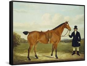 A Gentleman Holding His Hunter in a Landscape-E.W. Gill-Framed Stretched Canvas