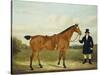 A Gentleman Holding His Hunter in a Landscape-E.W. Gill-Stretched Canvas