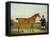 A Gentleman Holding His Hunter in a Landscape-E.W. Gill-Framed Stretched Canvas