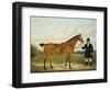 A Gentleman Holding His Hunter in a Landscape-E.W. Gill-Framed Giclee Print