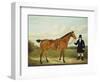 A Gentleman Holding His Hunter in a Landscape-E.W. Gill-Framed Giclee Print