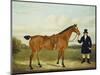 A Gentleman Holding His Hunter in a Landscape-E.W. Gill-Mounted Giclee Print