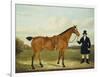 A Gentleman Holding His Hunter in a Landscape-E.W. Gill-Framed Giclee Print