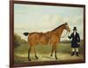 A Gentleman Holding His Hunter in a Landscape-E.W. Gill-Framed Giclee Print