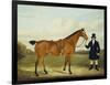 A Gentleman Holding His Hunter in a Landscape-E.W. Gill-Framed Giclee Print