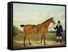 A Gentleman Holding His Hunter in a Landscape-E.W. Gill-Framed Stretched Canvas