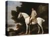 A Gentleman on a Grey Horse in a Rocky Wooded Landscape, 1781-George Stubbs-Stretched Canvas