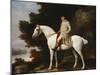 A Gentleman on a Grey Horse in a Rocky Wooded Landscape, 1781-George Stubbs-Mounted Giclee Print