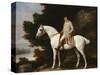 A Gentleman on a Grey Horse in a Rocky Wooded Landscape, 1781-George Stubbs-Stretched Canvas