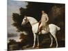 A Gentleman on a Grey Horse in a Rocky Wooded Landscape-George Stubbs-Mounted Premium Giclee Print