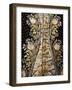 A Gentleman's Full Dress Suit Comprising Coat, Waistcoat and Breeches-null-Framed Giclee Print