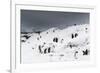 A Gentoo penguin colony (Pygoscelis papua) near Groussac Argentinian hut, Petermann Island, Antarct-Sergio Pitamitz-Framed Photographic Print