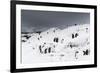 A Gentoo penguin colony (Pygoscelis papua) near Groussac Argentinian hut, Petermann Island, Antarct-Sergio Pitamitz-Framed Photographic Print