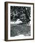 A Gentoo Penguin Dives after Fish That the Keeper Has Just Thrown into its Pool-Frederick William Bond-Framed Photographic Print