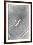 A German Aviatik Aircraft Photographed in Flight by a Belgian Aviator, Ypres, Belgium, 1916-null-Framed Giclee Print