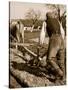 A German Farmer at Work-German photographer-Stretched Canvas