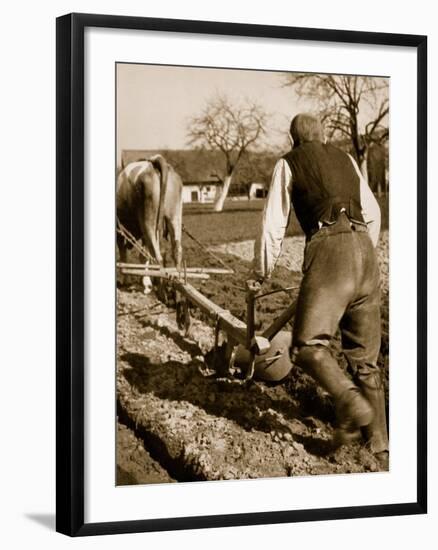 A German Farmer at Work-German photographer-Framed Giclee Print