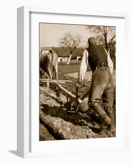 A German Farmer at Work-German photographer-Framed Giclee Print