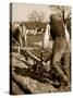 A German Farmer at Work-German photographer-Stretched Canvas