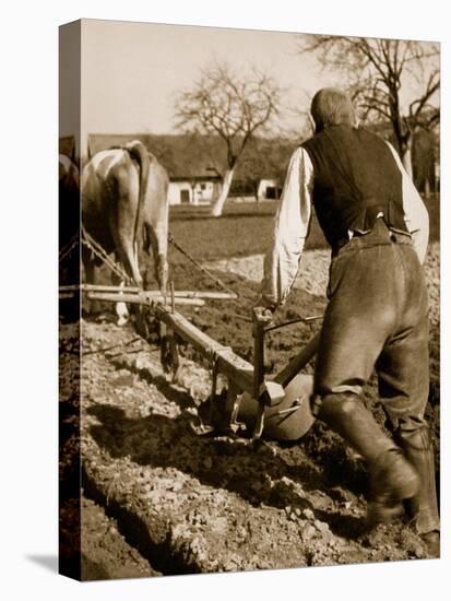 A German Farmer at Work-German photographer-Stretched Canvas