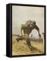 A German Foot-Soldier on the Attack-null-Framed Stretched Canvas