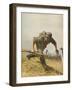 A German Foot-Soldier on the Attack-null-Framed Photographic Print