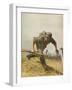 A German Foot-Soldier on the Attack-null-Framed Photographic Print