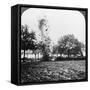 A German Shell Exploding, World War I, 1914-1918-null-Framed Stretched Canvas