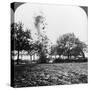 A German Shell Exploding, World War I, 1914-1918-null-Stretched Canvas