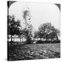 A German Shell Exploding, World War I, 1914-1918-null-Stretched Canvas