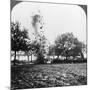 A German Shell Exploding, World War I, 1914-1918-null-Mounted Photographic Print