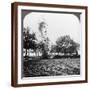 Brown Frame