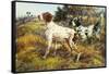 A German-Short Haired Pointer and Two Setters in a Landscape-Edmund Henry Osthaus-Framed Stretched Canvas