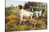 A German-Short Haired Pointer and Two Setters in a Landscape-Edmund Henry Osthaus-Stretched Canvas