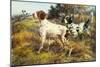 A German-Short Haired Pointer and Two Setters in a Landscape-Edmund Henry Osthaus-Mounted Premium Giclee Print