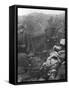 A German Trench after an Assult by the French 1st Army, France, 1915-null-Framed Stretched Canvas