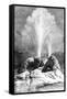 A Geyser, USA, 19th Century-Edouard Riou-Framed Stretched Canvas