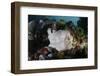 A Giant Frogfish Blends into its Reef Surroundings in Indonesia-Stocktrek Images-Framed Photographic Print