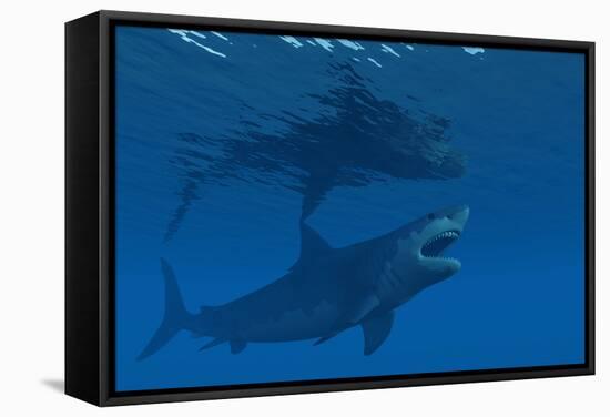 A Giant Megalodon Shark During the Cenozoic Era of Time-Stocktrek Images-Framed Stretched Canvas