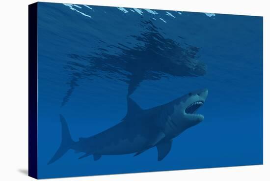 A Giant Megalodon Shark During the Cenozoic Era of Time-Stocktrek Images-Stretched Canvas