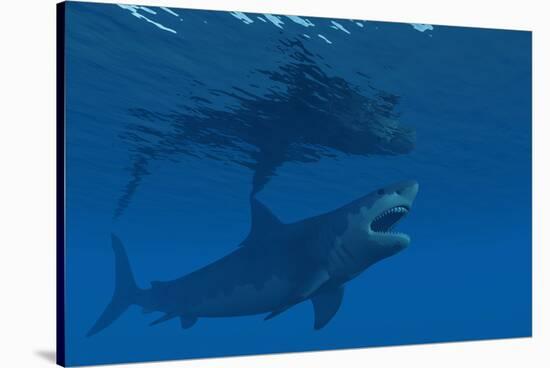 A Giant Megalodon Shark During the Cenozoic Era of Time-Stocktrek Images-Stretched Canvas