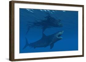 A Giant Megalodon Shark During the Cenozoic Era of Time-Stocktrek Images-Framed Art Print