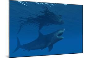 A Giant Megalodon Shark During the Cenozoic Era of Time-Stocktrek Images-Mounted Art Print