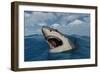 A Giant Megalodon Shark-Stocktrek Images-Framed Art Print