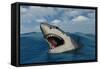 A Giant Megalodon Shark-Stocktrek Images-Framed Stretched Canvas